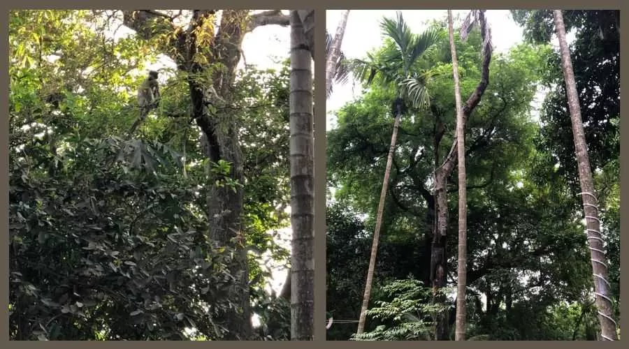 Sai Smurti Holiday Home  nagaon