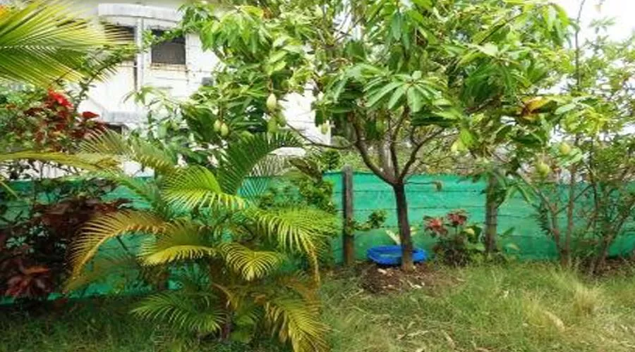 Samudra Manthan kihim