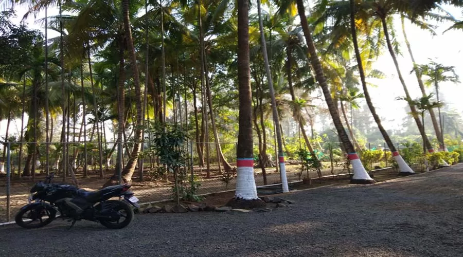 Samudra Darshan in akshi